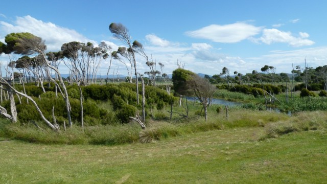 Oasis on the 14th hole at Barnbougle Dunes