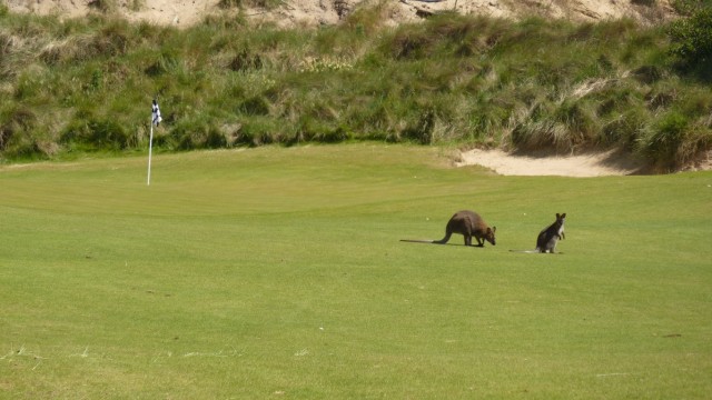 The 9th green at Barnbougle Lost Farm