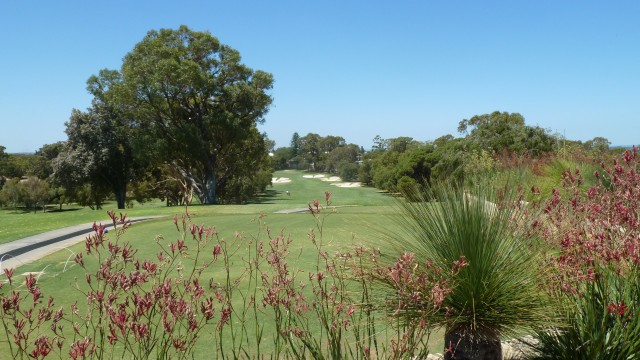 The 1st tee at Cottesloe Golf Club