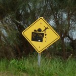 Danger on the second fairway at Narooma Golf Club