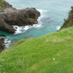 My tee shot nearly brought a lot of danger from the cliff on the 3rd at Narooma Golf Club