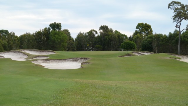 The 11th Tee at Pelican Waters Golf Club