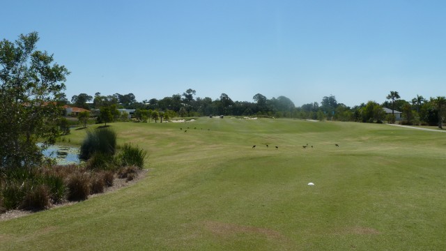 The 2nd tee at Sanctuary Cove Golf & Country Club Palms Course