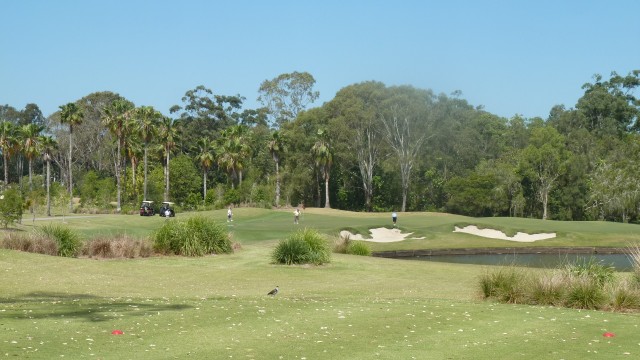 The 5th tee at Sanctuary Cove Golf & Country Club Palms Course