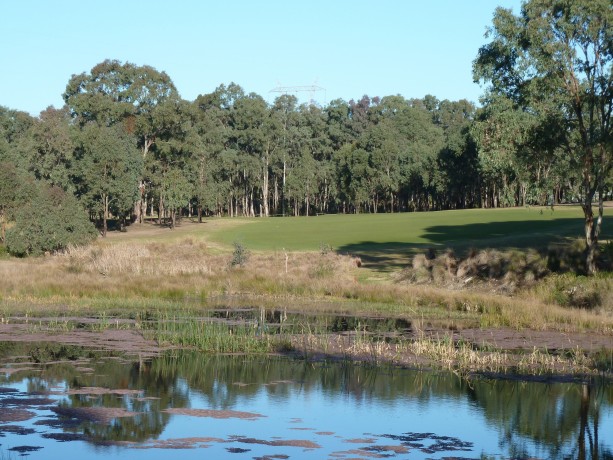 The 4th tee at The Vintage