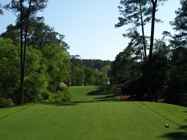 The 11th tee at Augusta National Golf Club