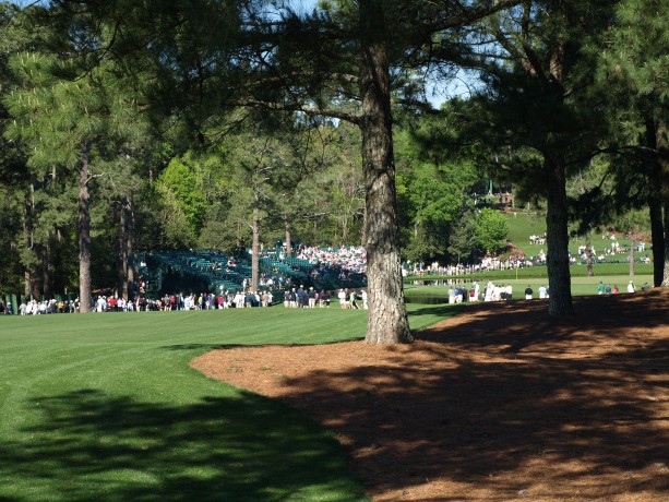 The 15th fairway at Augusta National Golf Club