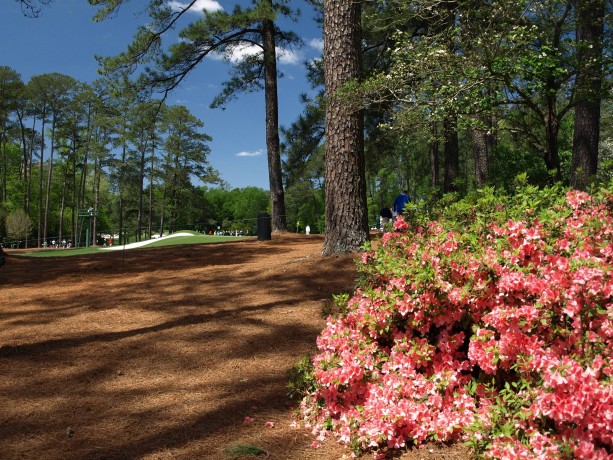 The 3rd Hole at Augusta National