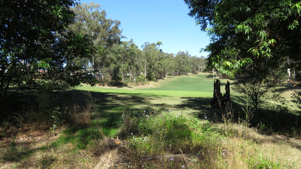 The 13th green at Brookwater Golf Club