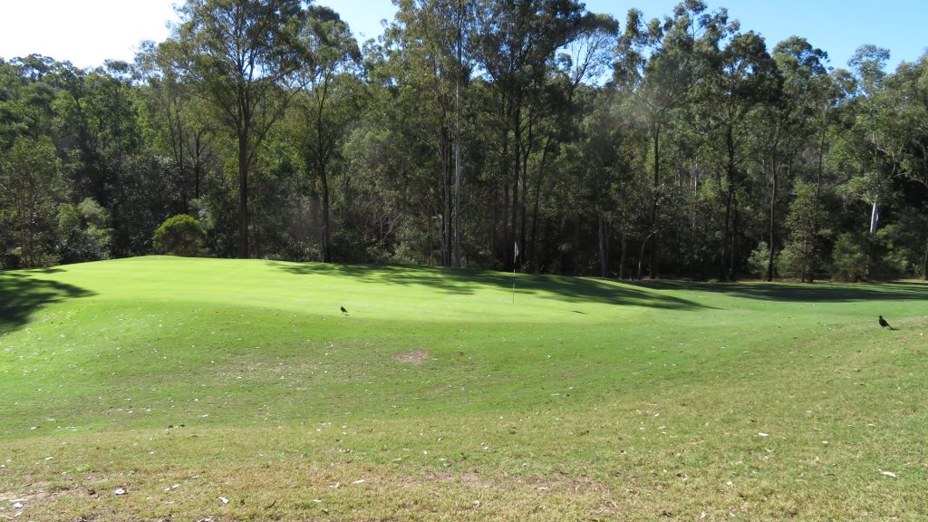The 7th Green at Brookwater Golf Club