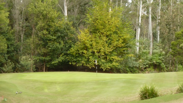 The 15th green at Brookwater Golf & Country Club