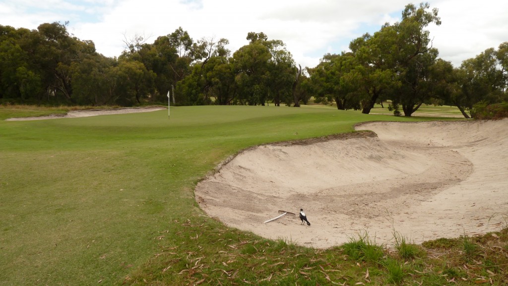 The 4th green at Peninsula Kingswood Country Golf Club North