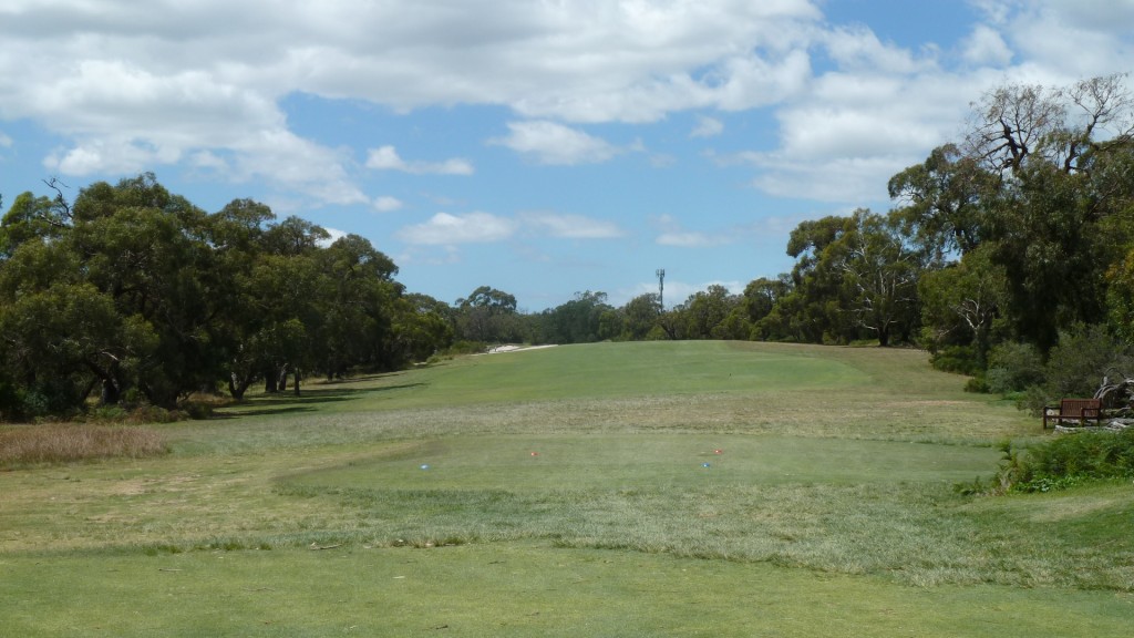 The 8th tee at Peninsula Kingswood Country Golf Club South