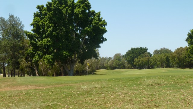 The 8th green at RACV Royal Pines