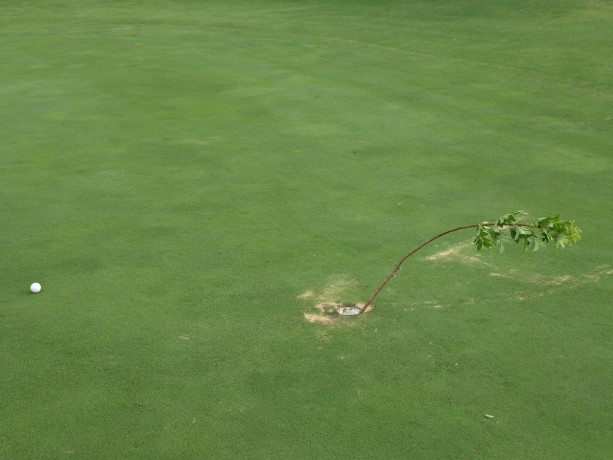 A stick as the temporary pin flag on the 15th at Links Kennedy Bay