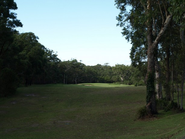 The 11th tee at Newcastle Golf Club