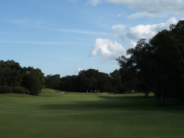 The 15th fairway at Newcastle Golf Club