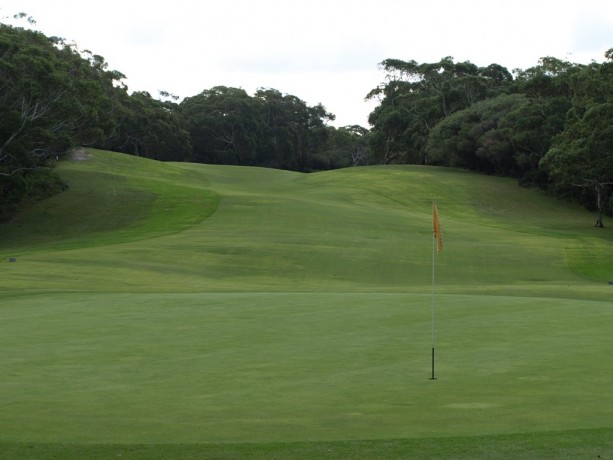 The 5th green at Newcastle Golf Club