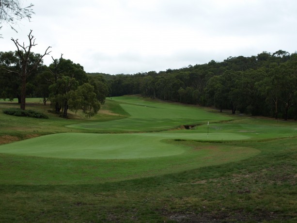 Looking back from the 8th green at RACV Healesville Country Club