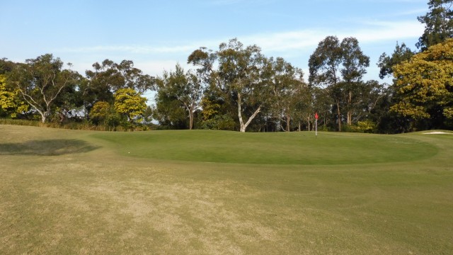 The 14th Green at Elanora Country Club