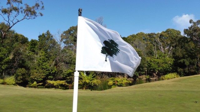 Pin Flag at Elanora Country Club