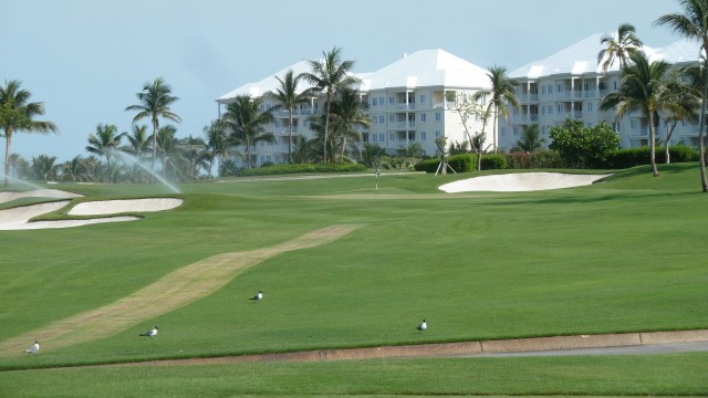 The 14th Tee at the Ocean Club