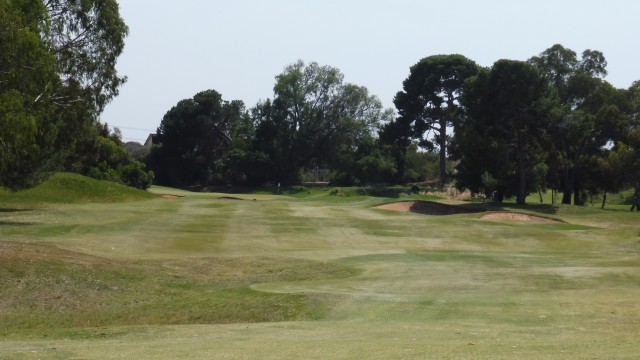 The 5th tee at Kooyonga Golf Club