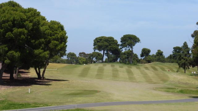 The 8th tee at Kooyonga Golf Club