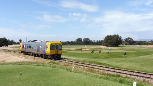 Train going through Royal Adelaide Golf Club