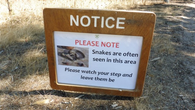 Snake warning The Grange Golf Club East