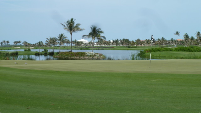 The 9th Green at Ocean Club