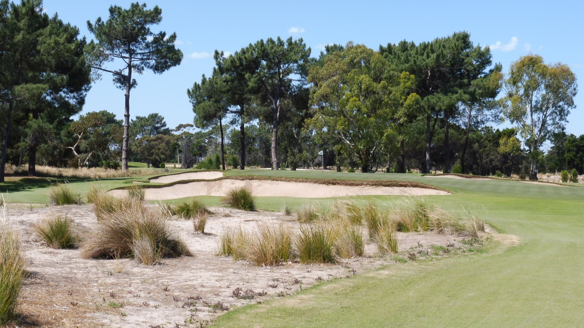 8th Hole on The Grange Golf Club West Course