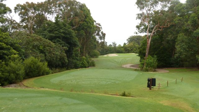 The 2nd tee at Avondale Golf Club