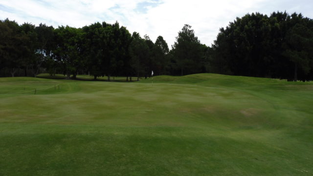 The 1st green at RACV Royal Pines Resort