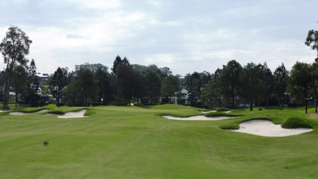 The 4th green at RACV Royal Pines Resort