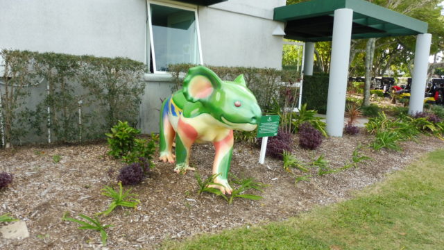 Decorated koala at RACV Royal Pines Resort