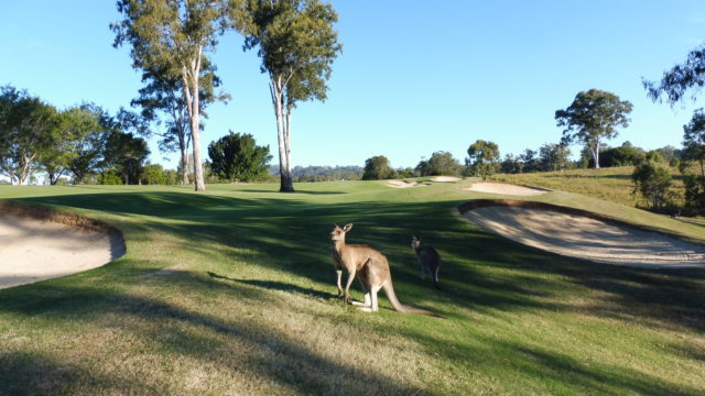 The 13th fairway at The Grand Golf Club