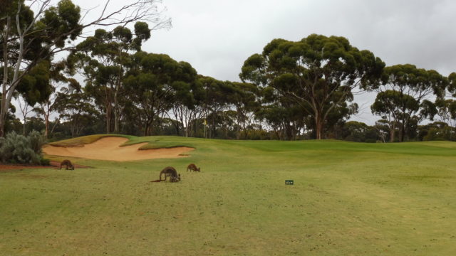 The 10th fairway at Kalgoorlie Golf Club