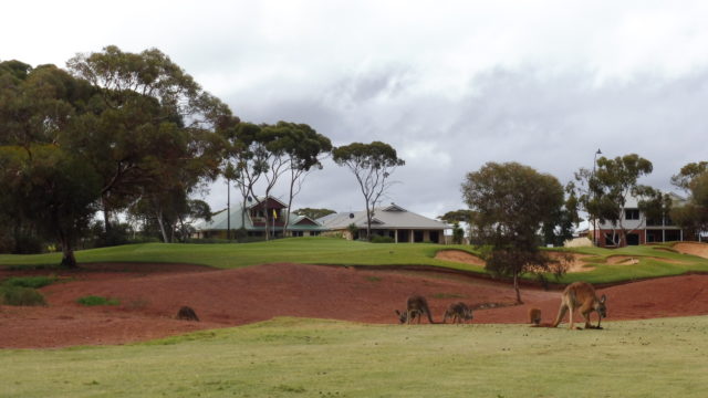 The 12th fairway at Kalgoorlie Golf Club