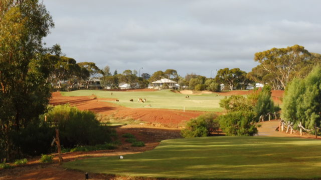 The 12th tee at Kalgoorlie Golf Club