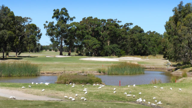 The 3rd tee at Cranbourne Golf Club