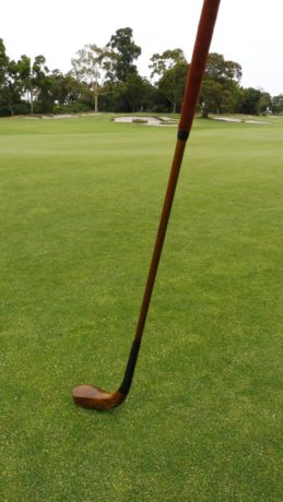 My hand crafted Long Nose Putter