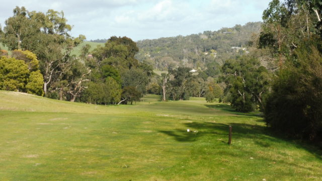 The 3rd tee at RACV Healesville Country Club