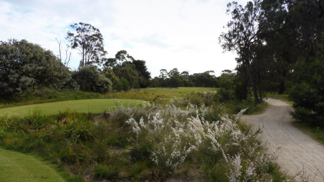 The 8th tee at Woodlands Golf Club