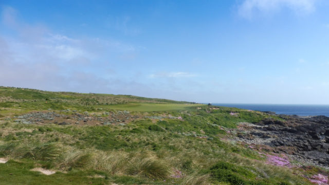 The 3rd tee at Cape Wickham Links