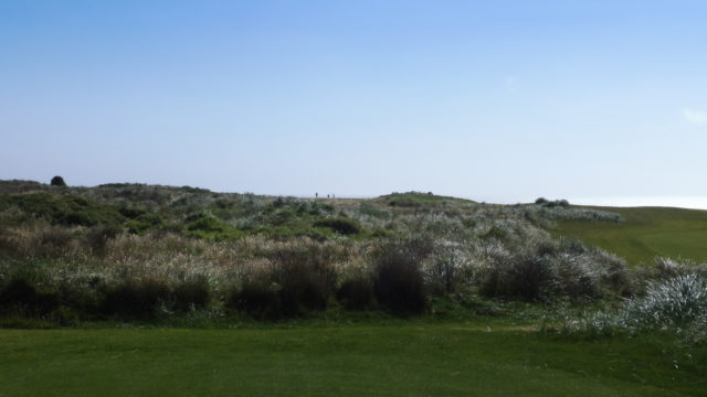 The 5th tee at Cape Wickham Links