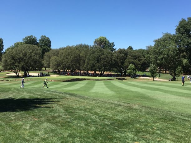 The 15th Hole at Royal Canberra Golf Club